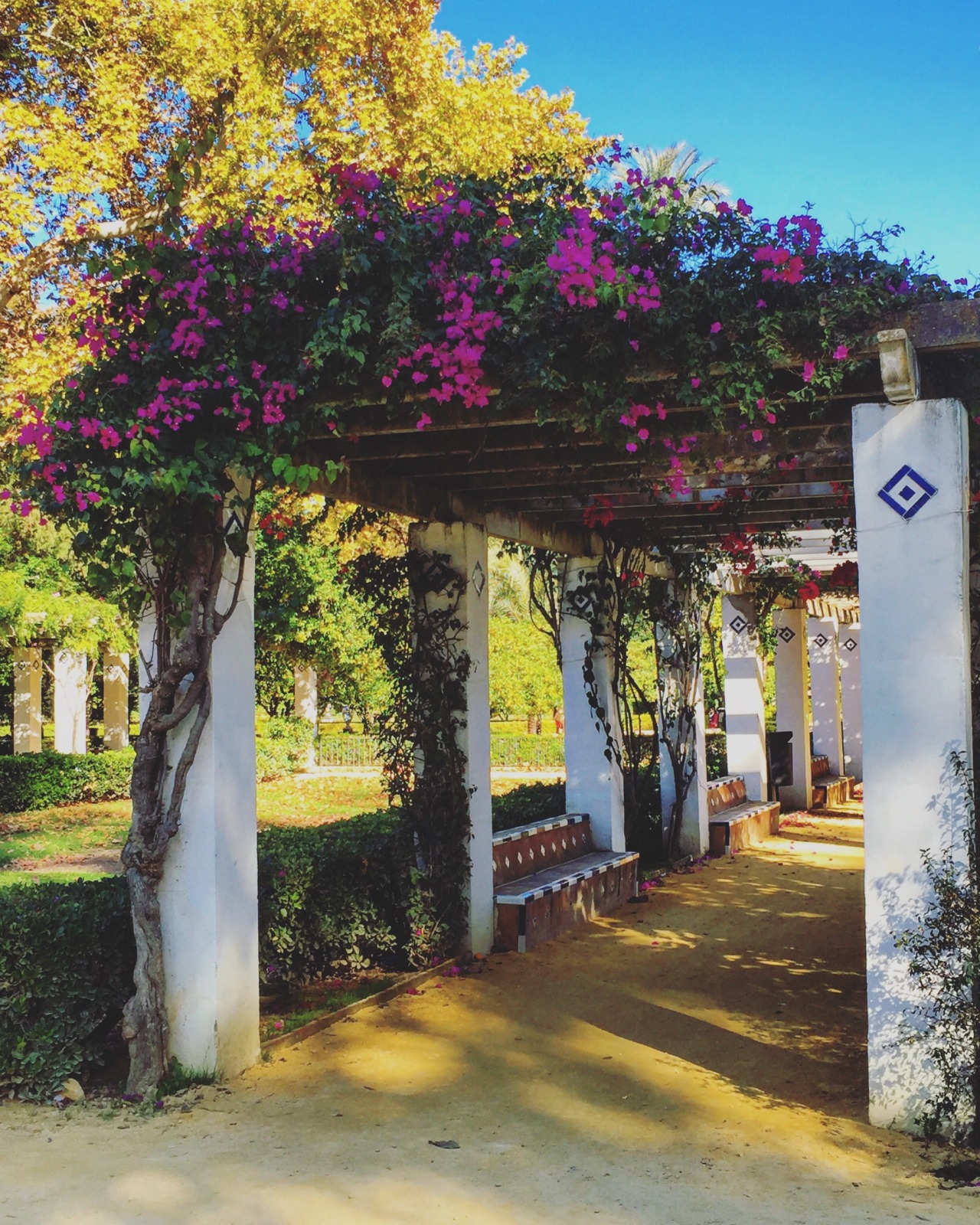 travelingcolors:  Maria Luisa Park, Sevilla | Spain (by Nacho Coca)Follow me on Instagram