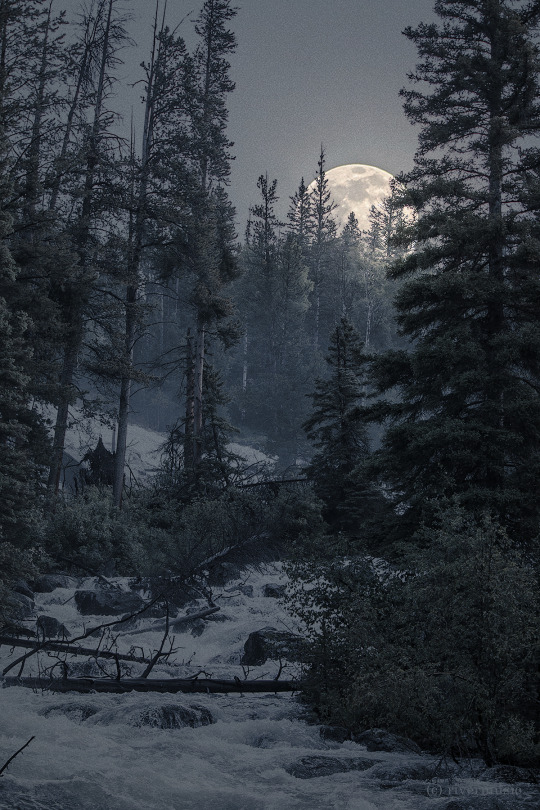 Moonrise over Crazy Creek: (c) riverwindphotography