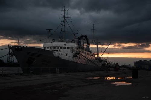 Happy 55th Birthday Ms Stubnitz! . . . . .#msstubnitz #hamburg #elbe #water #originalphotographers