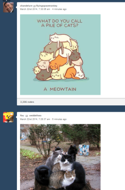 sailorscooby:  my dash did a thing