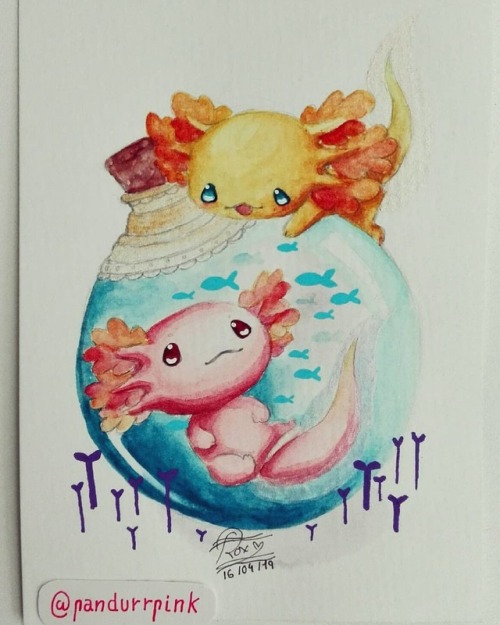 AXOLOTES-ˋˏ✄┈┈┈┈┈┈┈┈┈#watercolor #illustrator #illustration #art #arte #tradicionalart #shiny #cute 