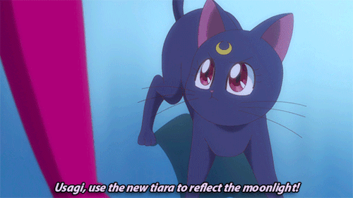 senshidaily:crystal appreciation