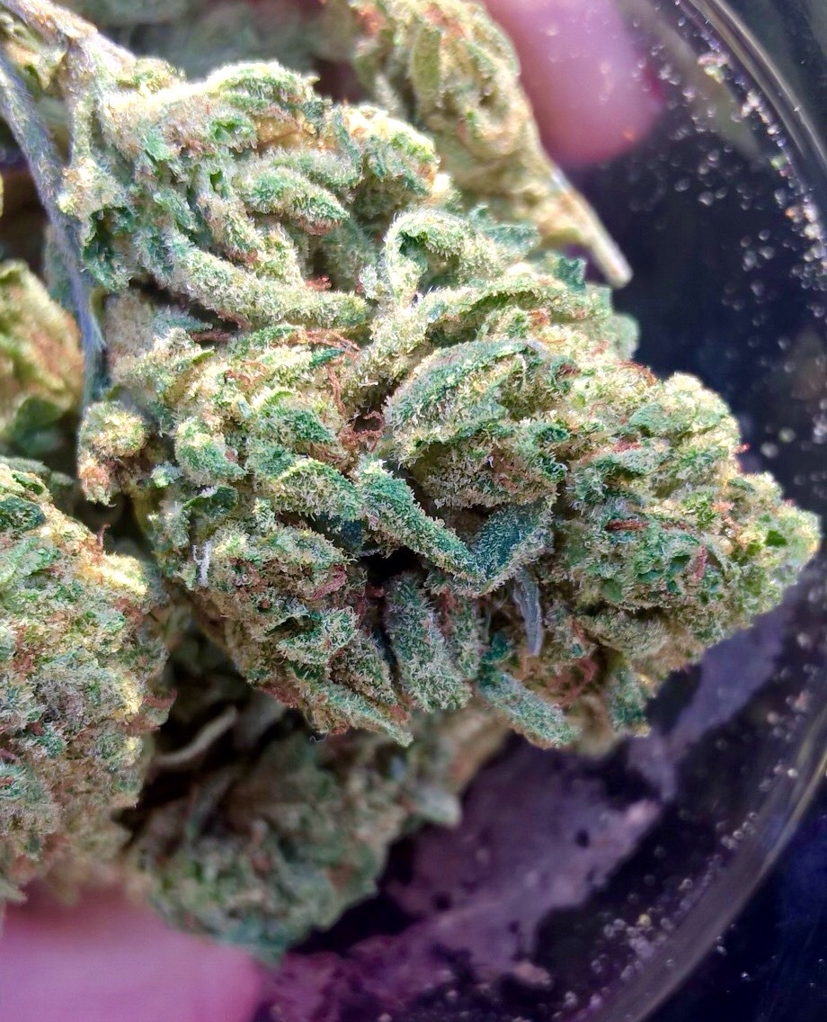 ilovehellokittyandweed:  This Train Wreck Looks so beautiful in natural lighting