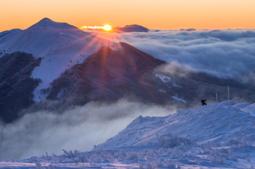 Sunrise in Bieszczady National Park, Poland