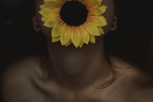 Oh hey, a sunflower.  IG: @fotografierende