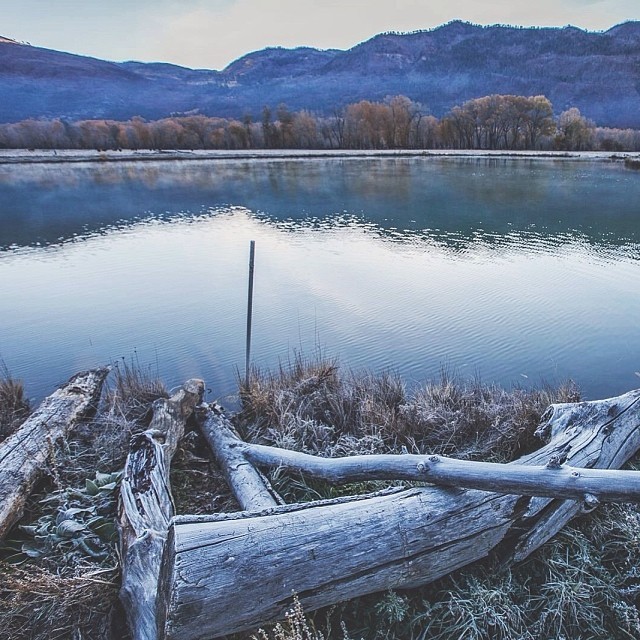 natureconservancy:  &ldquo;…The winds will blow their own freshness into you,
