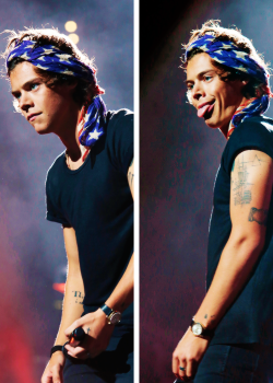 fahoohz:  Harry Styles summed up in 2 pics