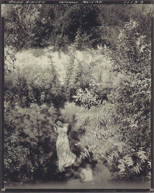 Edward Steichen - The American actress Silvia Sidney, 1931
