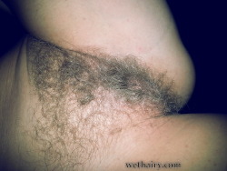 hairychicks:  Hairy Pictures