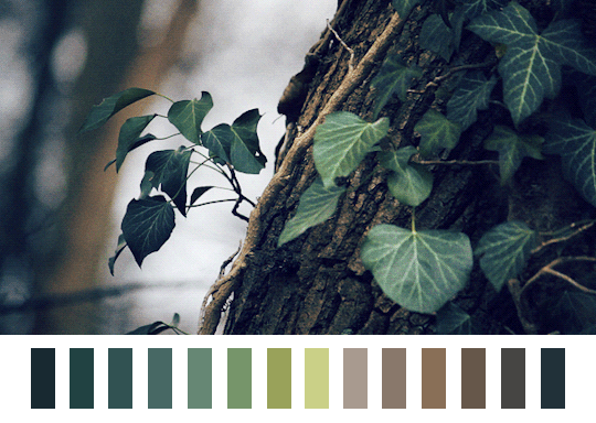 XXX Color Palettes for the Signs... photo