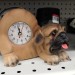 heyitsbill:shiftythrifting:he thiccDon&rsquo;t you mean he&hellip;Ticc?