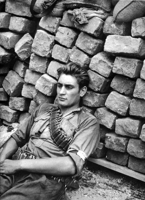 bag-of-dirt: Portrait of a member of the French Resistance, who rests against a barricade erect