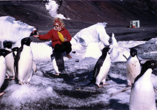 Emperor Penguin Chicks Huddle In San Diego, After Being Flown From Antarctica, To Be Part Of A NSF Study
