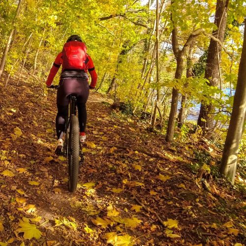 Orange times in Berlin. Dream Bikes in dreamy conditions. Autumn in Berlin. Orange Zeiten in Berlin.