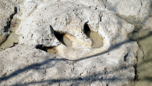 Researchers reconstruct 112-million-year-old dinosaur ‘chase’
The footprints are located in the Paluxy River Trackway, a popular site to see dino tracks in Dinosaur Valley State Park.