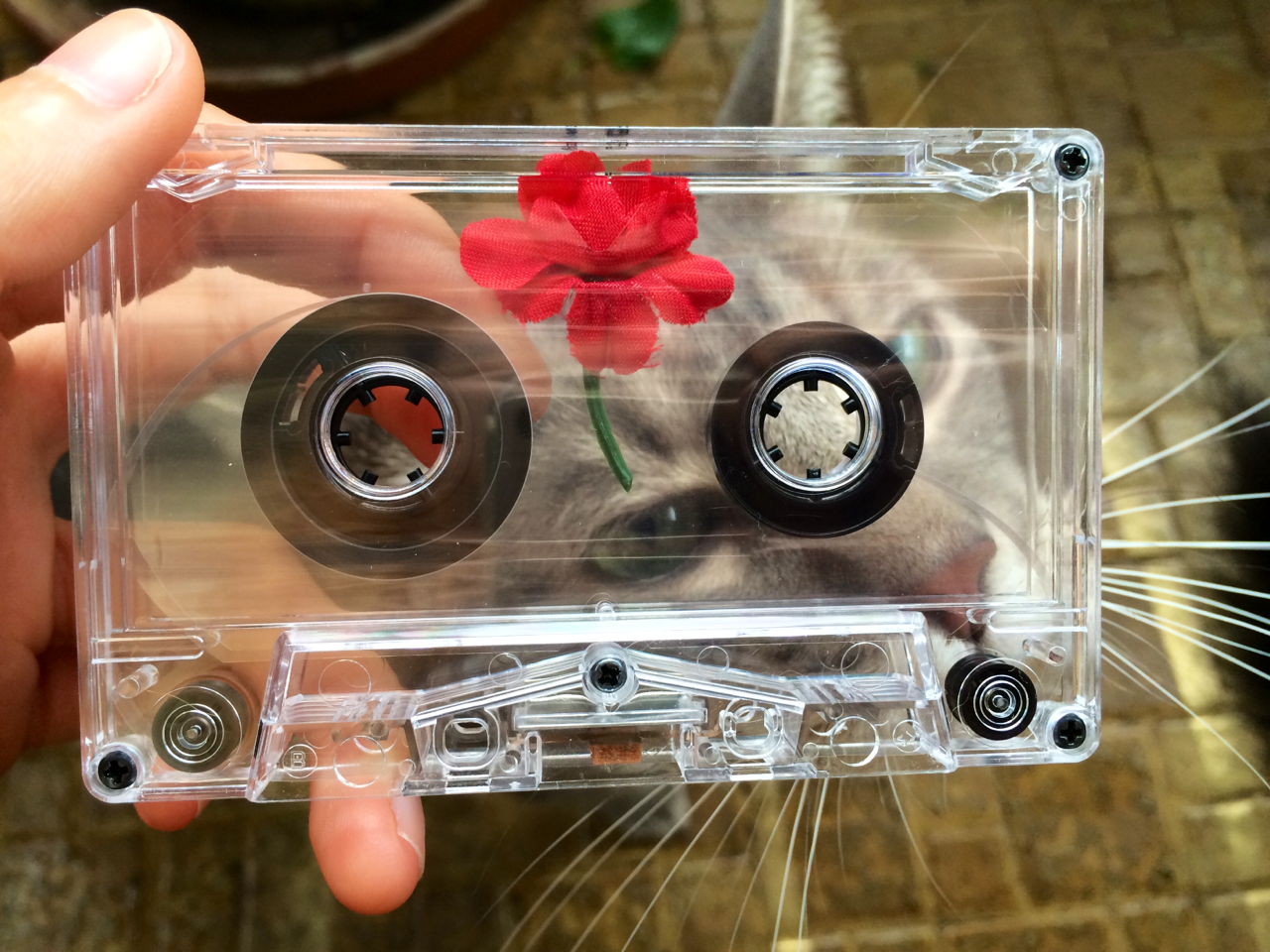crydaisy:  cheapmiami:  The Red Nectar cassette features a flower inside of it. Released