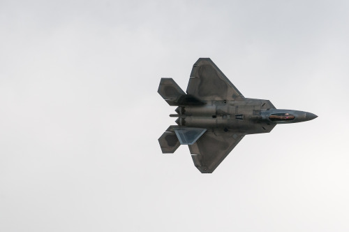 littlemonkeysphoto:Some more images from Sunday’s Raptor demo at Westover Air Reserve base.