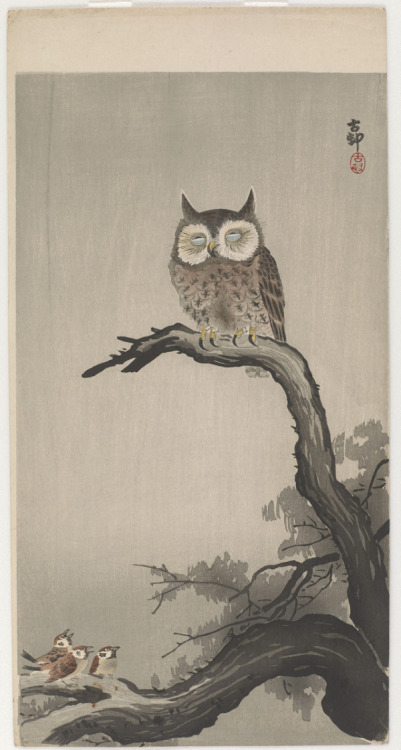 heaveninawildflower: ‘Owl on Tree’ ( Meiji era, 1900s ) by Ohara Koson 小原古邨 (1877 - 1945