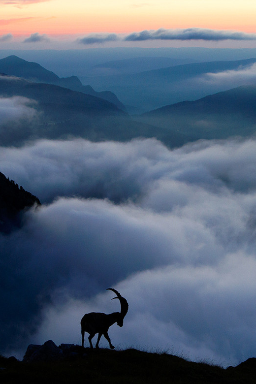 sundxwn:  On top of the world by Jérémie Villet