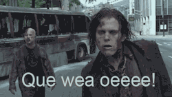 minigag:  shiiiia hermano 