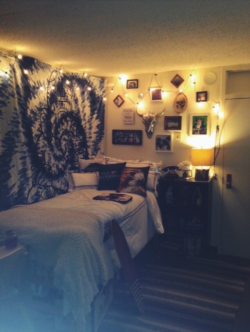 Sex brown-medusa:  My lovely dorm. Namaste.  pictures