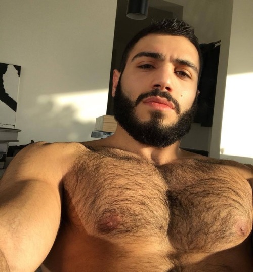 Hairy Arab macho