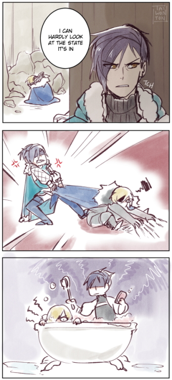 How To Care Your Dimitri