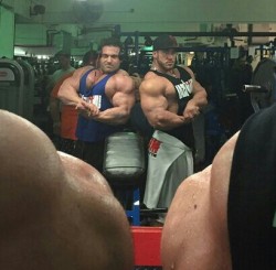 THICK MUSCLE LOVE