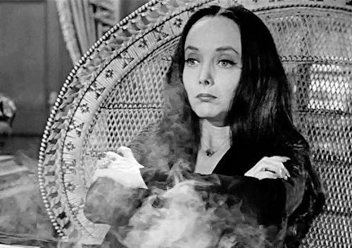 Sex retrotvblr:    THE ADDAMS FAMILY (1964 - pictures