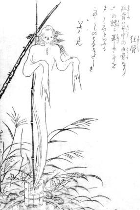The Kyōkotsu is a skeletal Yokai found in Japan. The Kyōkotsu is described as a skeletal spirit wear