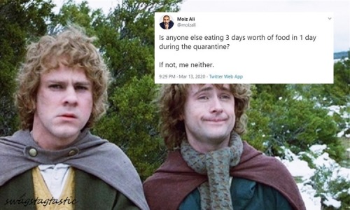 swagstagtastic: Lord of the Rings and The Hobbit + 2020 tweets
