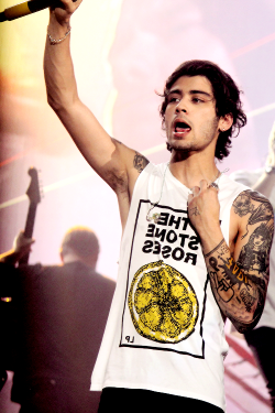 itszaynmallik:    Tampa, FL - 3/10   