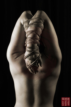 wykd-dave:  Hard bound hands. http://rope-topia.com/galleries