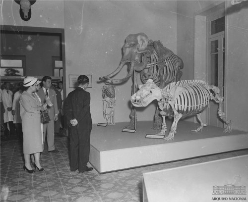 Visita ao Museu Nacional (Visit to the National Museum), Rio de Janeiro, Brasil, 1958.Original capti