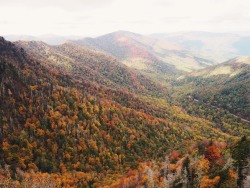 calm-mysoul:  this weekend in the smokies  @sub-91