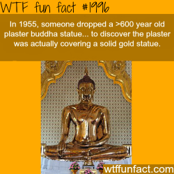 wtf-fun-factss:  Goldent Buddha statue - WTF