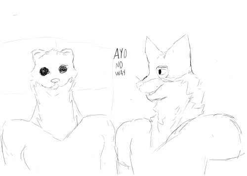 I Got So Sad Last Night I Visualized Myself Being With My Otter So Vividly That I Forgot Everything Bc