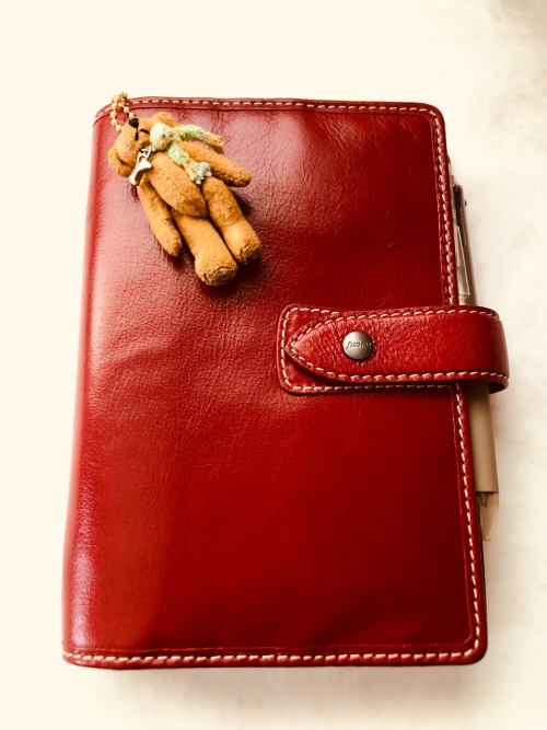 Planner And Teddy Bear Of This Week