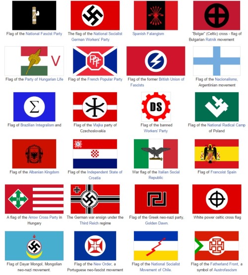 anti-capitalist:  Beautiful flags of fascism.