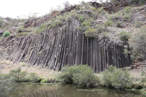 geologicaltravels:2015: Pleistocene columnar basalts (2.5Ma - 2.8Ma) being the main feature at Organ