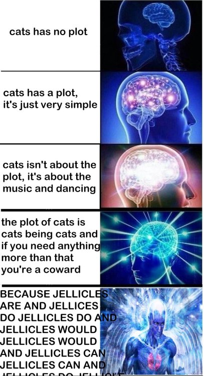 cats 2019