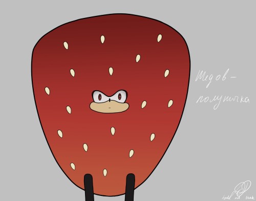 Today I Present You A Local Meme Of UA Sonic Discord Server Strawberry Shadow.