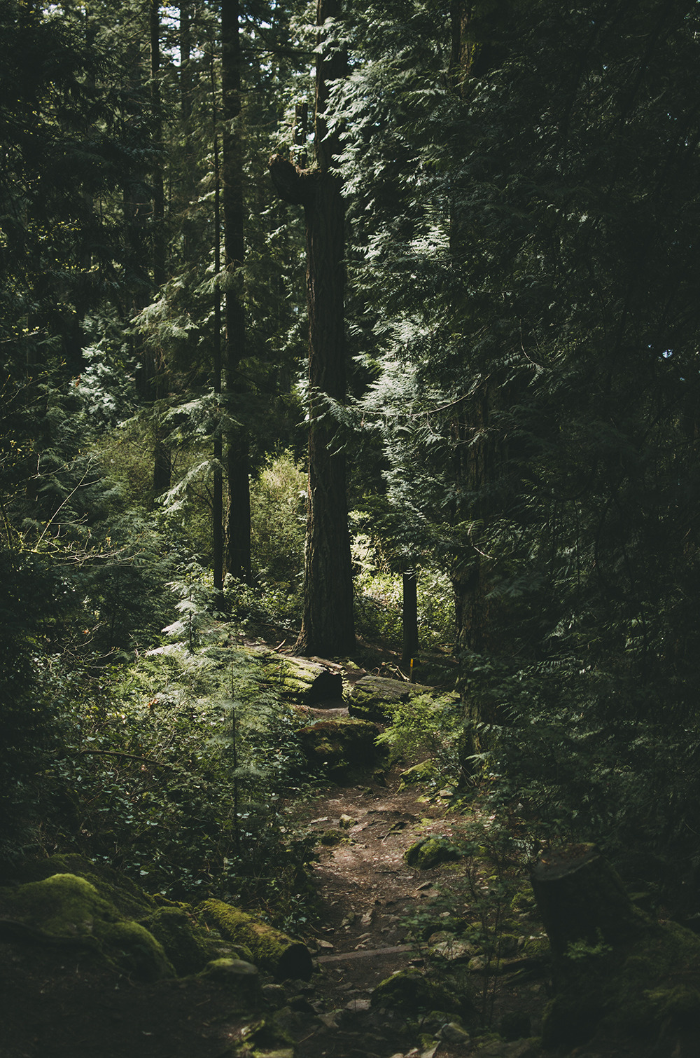 deeplovephotography: oh, here i go // instagram | flickr | facebook    &gt;&gt;&gt;