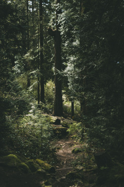 deeplovephotography: oh, here i go // instagram | flickr | facebook    &gt;&gt;&gt; buy prints here