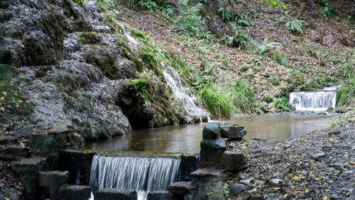 Water Water Everywhere in Hackfall Woods, North Yorkshire, England.