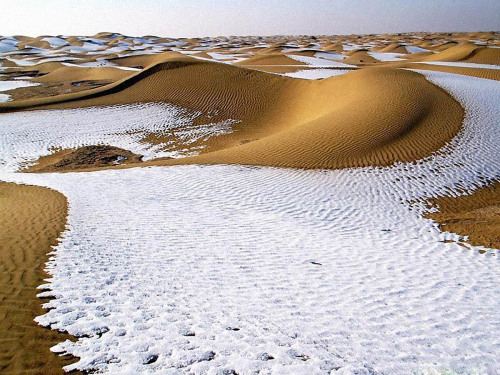 history-inpictures:The Sahara Desert after snow fell, 1979