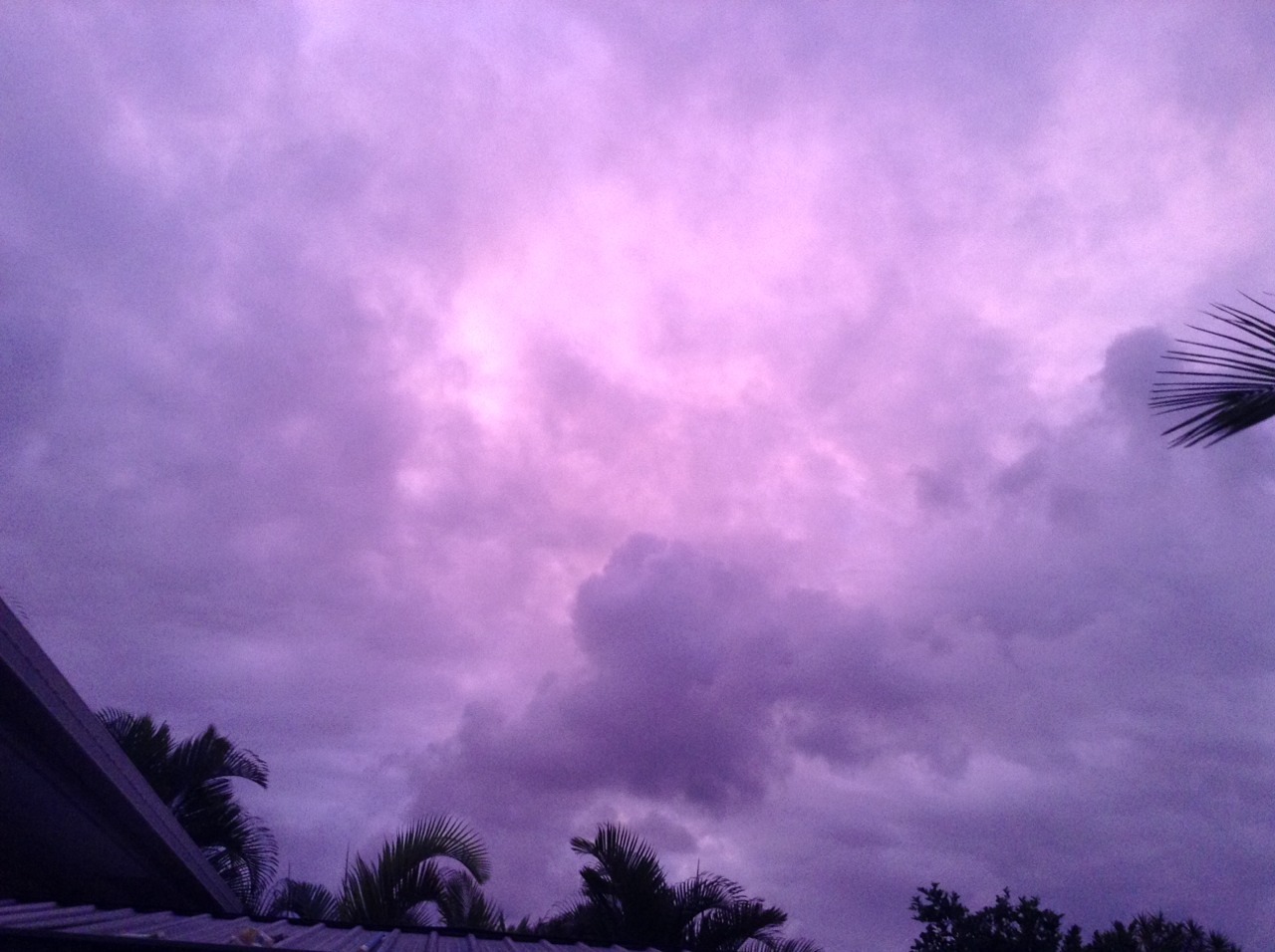 evictist:  The evening sky was unbelievable omg