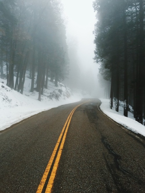 March 2016 - Sequoia National ForestRequest a Print   |   Buy Other Prints