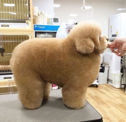 Adulthoodisokay: Absolute Unit