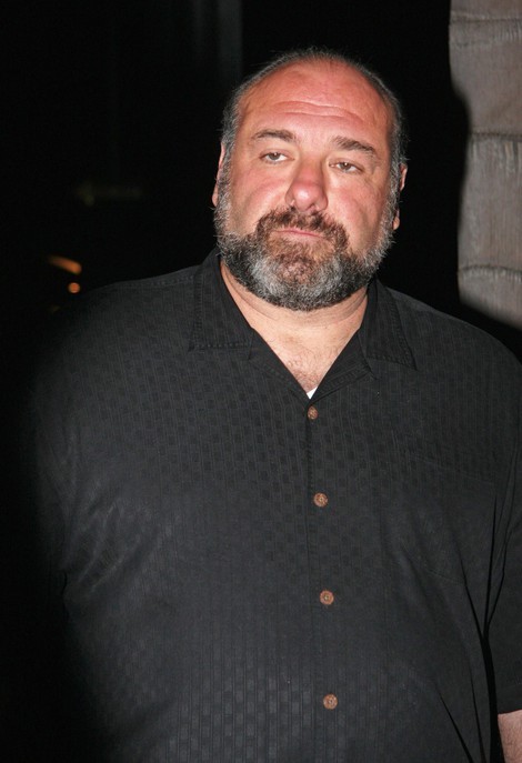 bearmeat:  James Gandolfini, RIP you sexy man. 